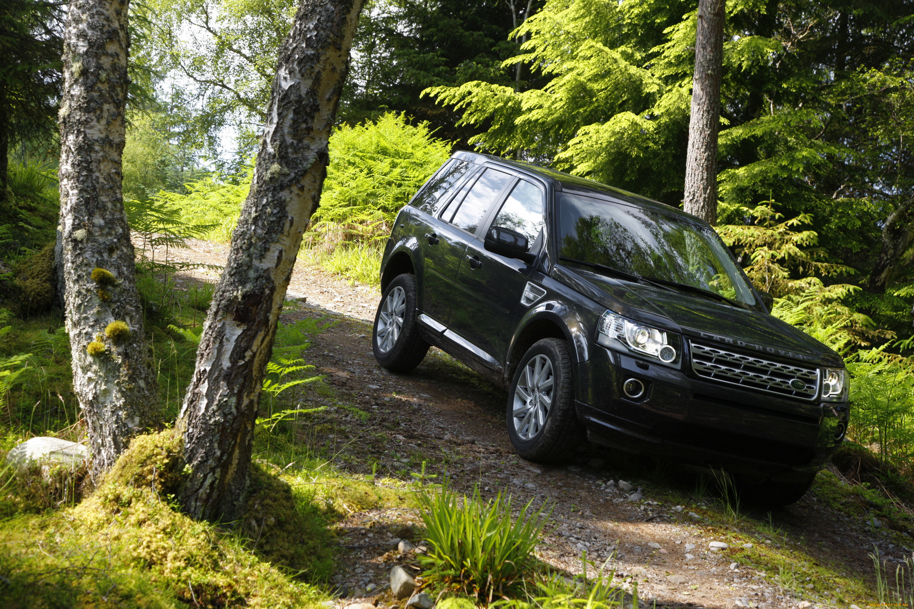 2013, land, rover, freelander, , 